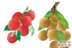 肠胃功能不好，吃三类水果养胃