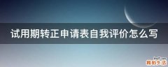 试用期转正申请表自我评价怎么写