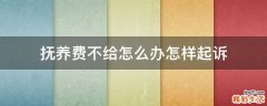 抚养费不给怎么办怎样起诉