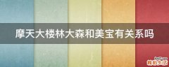 摩天大楼林大森和美宝有关系吗