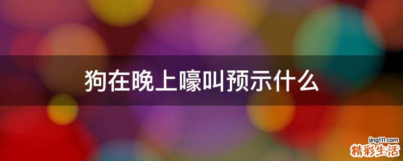 狗在晚上嚎叫预示什么