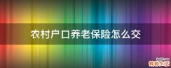 农村户口养老保险怎么交