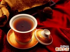 喝什么养胃 喝什么茶养胃