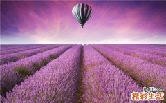 视网膜脱落的主要危害