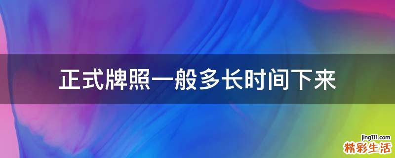 正式牌照一般多长时间下来