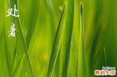 处暑代表夏天的结束了吗