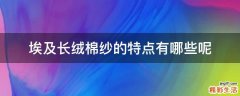 埃及长绒棉纱的特点有哪些呢