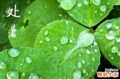 处暑是几月几号2023年,2023年处暑几点几分