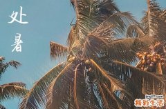 2023年处暑是什么意思啊