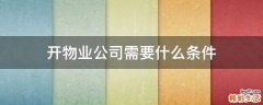 开物业公司需要什么条件