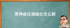 原神曲径通幽处怎么解