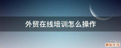 外贸在线培训怎么操作