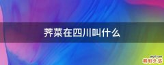 荠菜在四川叫什么