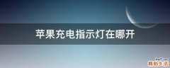 苹果充电指示灯在哪开