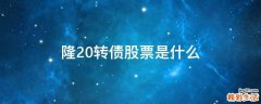 隆20转债股票是什么