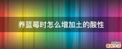 养蓝莓时怎么增加土的酸性