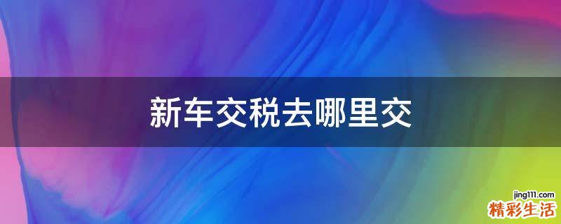 新车交税去哪里交