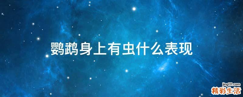 鹦鹉身上有虫什么表现