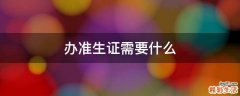 办准生证需要什么