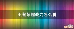 王者荣耀战力怎么看