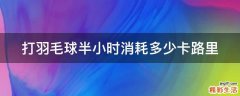 打羽毛球半小时消耗多少卡路里