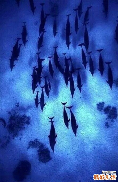 无功能垂体腺瘤的症状，无功能垂体腺瘤的早期症状，并发症