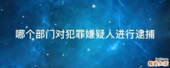哪个部门对犯罪嫌疑人进行逮捕
