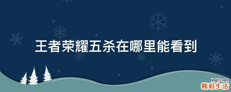 王者荣耀五杀在哪里能看到