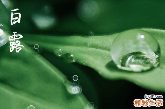 秋季 白露是哪个季节的现象