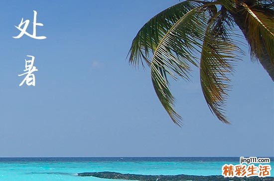 2023处暑这天有什么禁忌