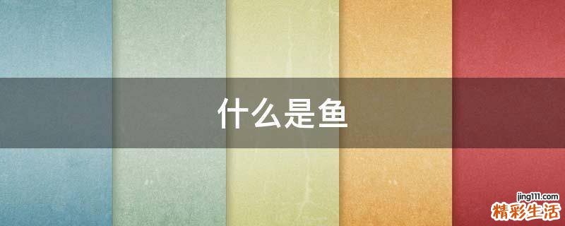 什么是鱼