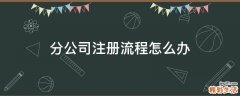 分公司注册流程怎么办