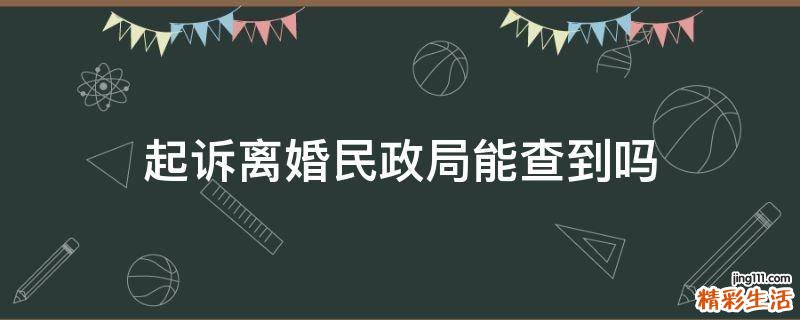 起诉离婚民政局能查到吗