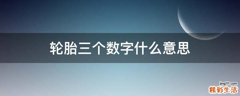 轮胎三个数字什么意思