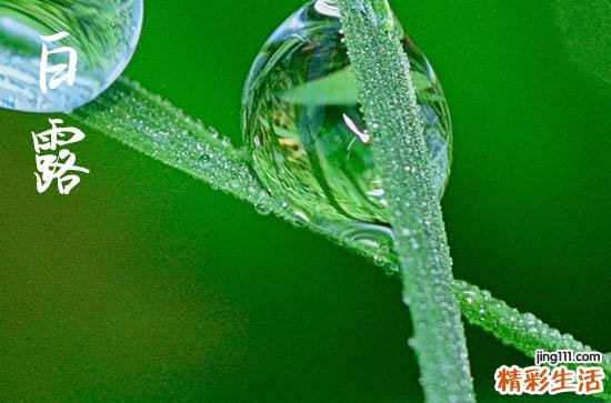 2023年白露在什么时间几点几分