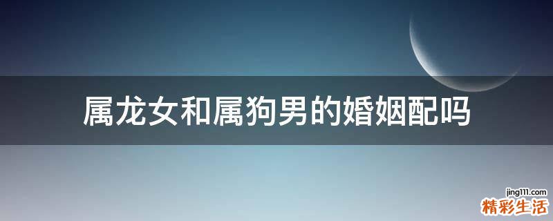 属龙女和属狗男的婚姻配吗