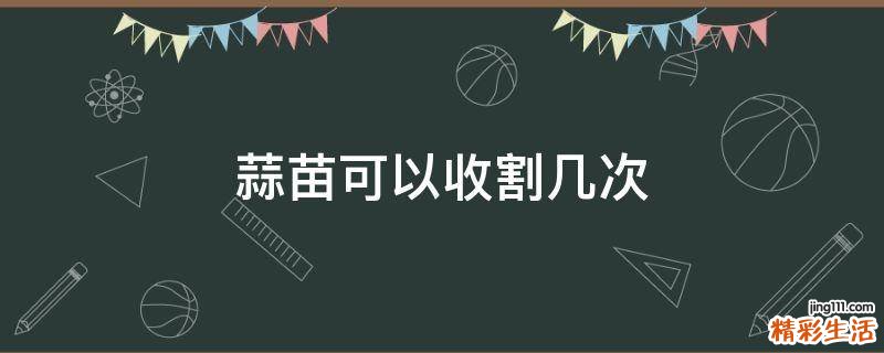 蒜苗可以收割几次
