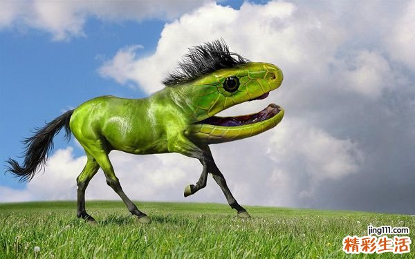 头发知识：护理秀发从多方位抓起