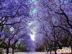 2 辩证中医常用的三种退热方法