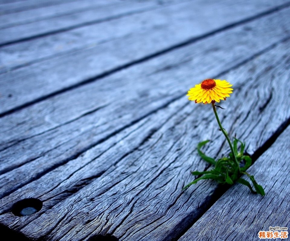 天天洗头会掉头发吗:关于天天洗头的误区