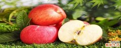 吃苹果可以养胃吗 苹果怎么吃养胃最好