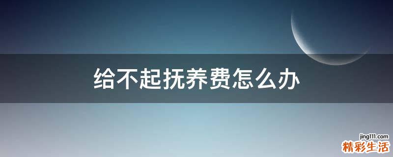 给不起抚养费怎么办