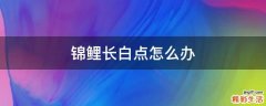 锦鲤长白点怎么办