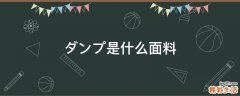 ダンプ是什么面料