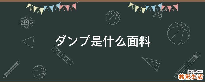 ダンプ是什么面料