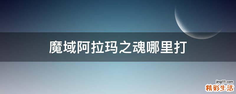 魔域阿拉玛之魂哪里打