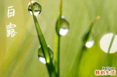 2023年白露的具体时间 2023年白露时间几点几分几秒钟