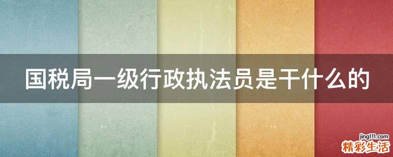 国税局一级行政执法员是干什么的