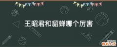 王昭君和貂蝉哪个厉害