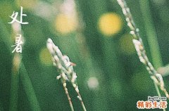 2023年处暑是几月几日几点几分 2023处暑是哪一天的什么时候